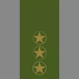 SwA - Fanjunkare - Fj - Colour Sergeant - CSgt (Sweden)