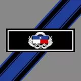 texas honor marksman emblem ver.1