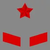 中国人民解放军65式