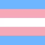 Trans Flag