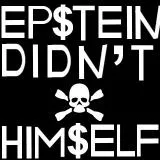 Epstein didn’t kill himself