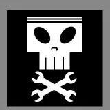 volo pro veritate (letayu radi istiny)