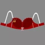 Soviet bra
