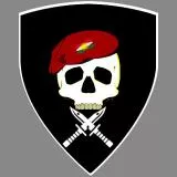 Soldier bf1 bf4 knife rage 