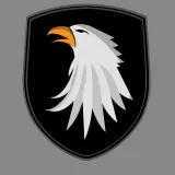 101st Airborne Division (Alternate)