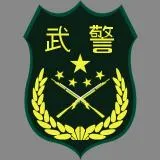 中国武警臂章