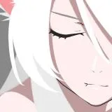 black 羽川 翼 (black はねかわ つばさ) / black 하네카와 츠바사 / black Tsubasa Hanekawa