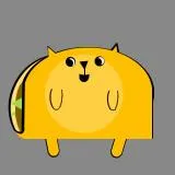 Taco-Cat