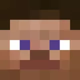 Minecraft Steve - New