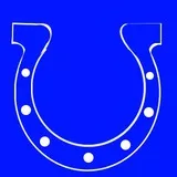 Indianapolis Colts
