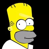 Homer