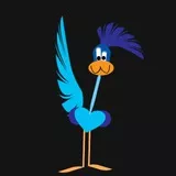 Roadrunner