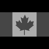 Canadian Armed Forces Shoulder Patch