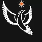 Emblem 170