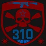 310 Gamer