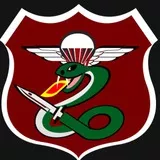 IDF Paratrooper Brigade