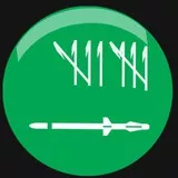 saudi arabia flaq