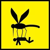Mosquito