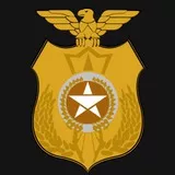 Gold Military Badge