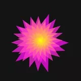 Pink and Yellow Flower