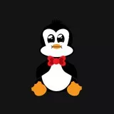 Cute Penguin No Background