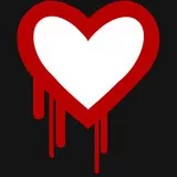 heartbleed