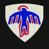 501st Infantry Regiment (Abn) 