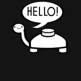 Explosive Turtle In Real LIfe