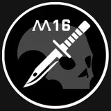 M16 Combat Corps