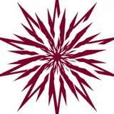 Spiked Stars purple white flower