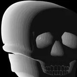 3D CAMO non prem skull