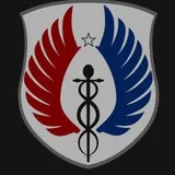 Special Forces Insignia