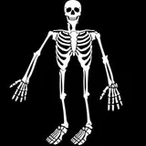 SKELLETON