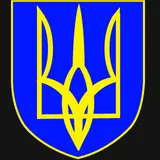 Vola