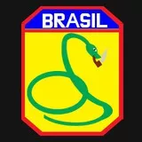 FEB (Força Expedicionária Brasileira) V3