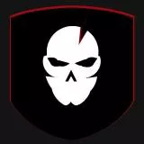 ITS Tactical Skull Patch