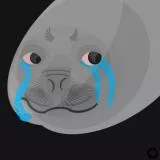 Crying Seal