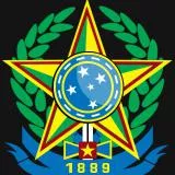 Brasão brasileiro v2