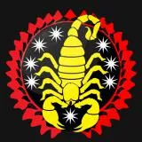 Scorpion United (Spain)