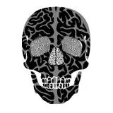 Brain Skull