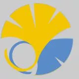 the University of Tokyo