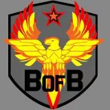 Band of Brothers Platoon Emblem Phoenix