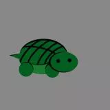 turtle