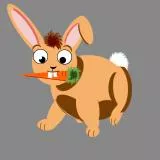 BunnyField4