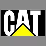 CAT Emblem