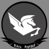 Black Pegasus