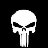 PUNISHER SEAL TEAM 3