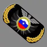 Slovenian dogtags/Slovenska značka