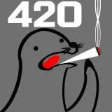 seal 420