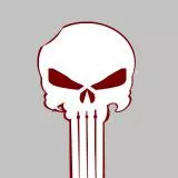 PUNISHER SEAL TEAM 3